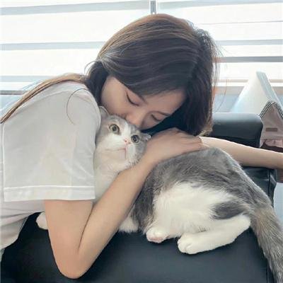 燕子与鹦鹉